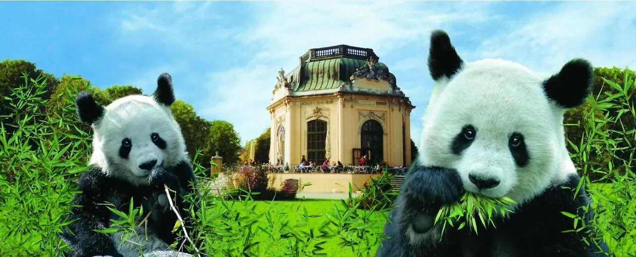 Mitten In Der Stadt L Lf22 Vienna Austria